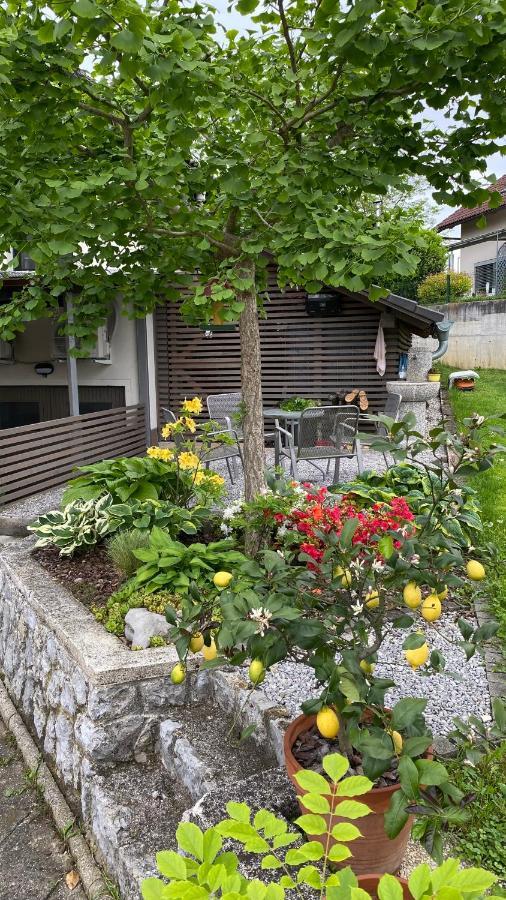 Apartma Nomad Novo Mesto Zewnętrze zdjęcie